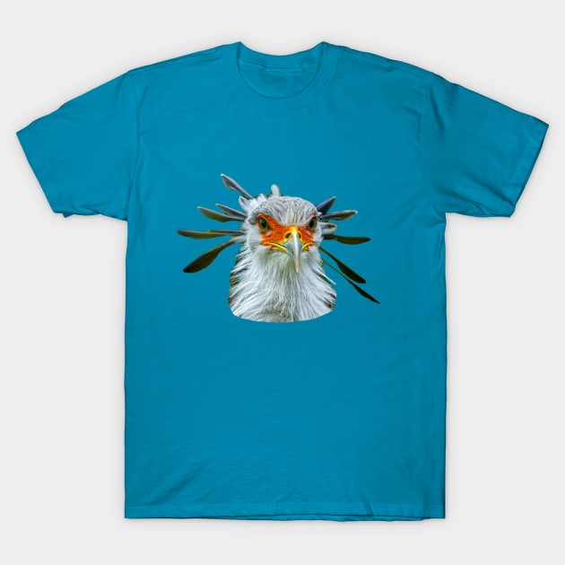 Secretary Bird T-Shirt by dalyndigaital2@gmail.com